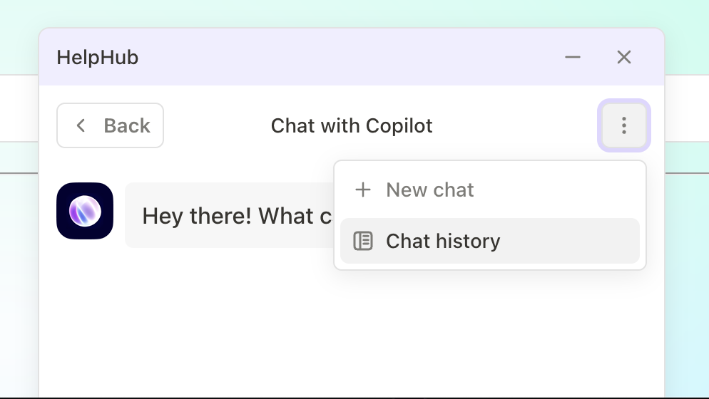 Chat History